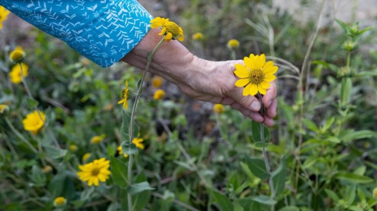 Gardening Made Easy— your guide to Spring Plant Sales + more In Lower Alabama Gardening Made Easy— your guide to Spring Plant Sales + more In Lower Alabama
