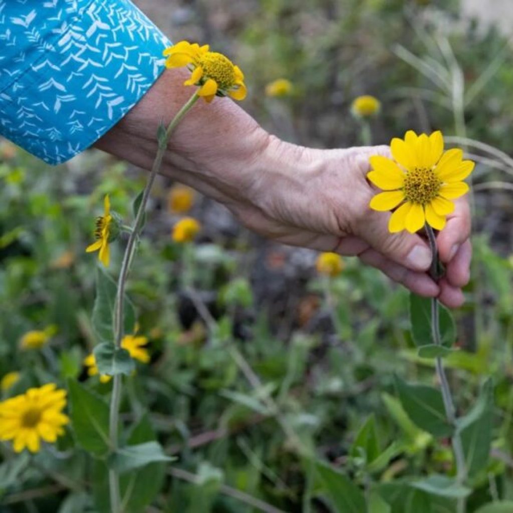 Gardening Made Easy— your guide to Spring Plant Sales + more In Lower Alabama Gardening Made Easy— your guide to Spring Plant Sales + more In Lower Alabama