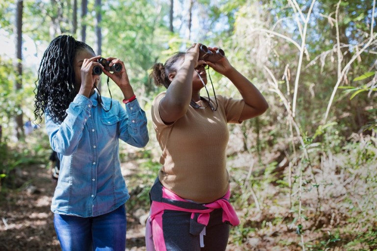2023 is the Year of Alabama Birding– check out these events + how to get involved 2023 is the Year of Alabama Birding– check out these events + how to get involved