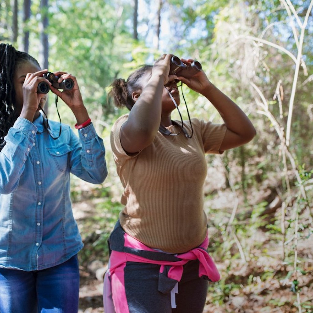 2023 is the Year of Alabama Birding– check out these events + how to get involved 2023 is the Year of Alabama Birding– check out these events + how to get involved