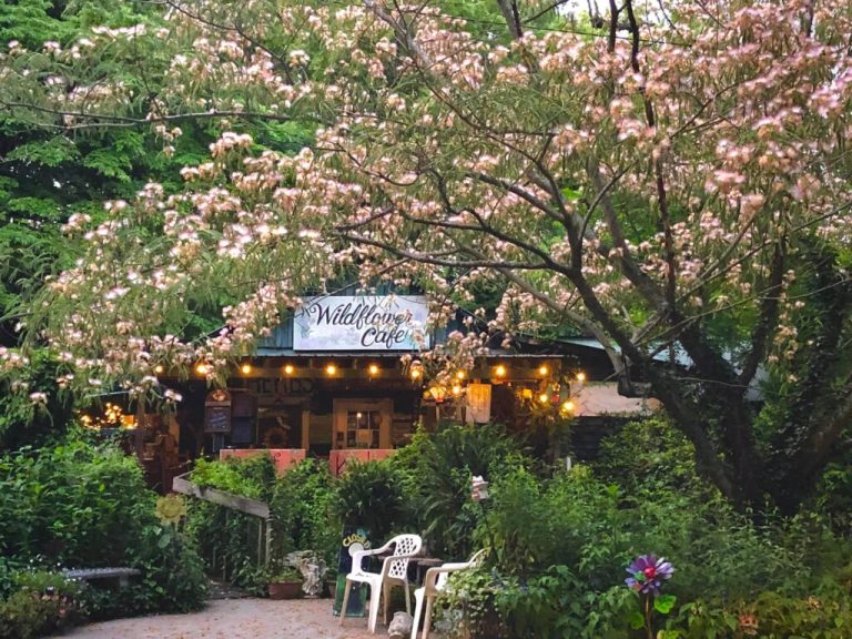 This “enchanting little spot” in Alabama was named one of the best small-town restaurants in the US This “enchanting little spot” in Alabama was named one of the best small-town restaurants in the US