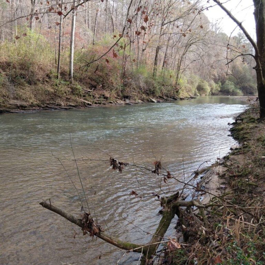 Freshwater Land Trust acquires conservation easement from the University of Alabama Freshwater Land Trust acquires conservation easement from the University of Alabama