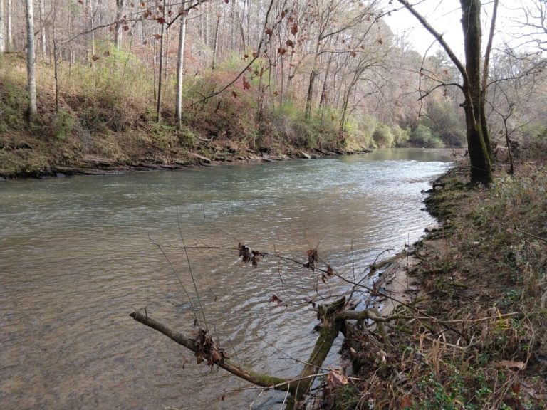 Freshwater Land Trust acquires conservation easement from the University of Alabama Freshwater Land Trust acquires conservation easement from the University of Alabama
