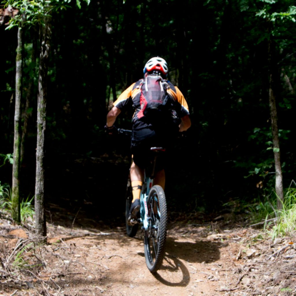 New study shows Hoover as fittest place in Alabama—see where your hometown ranks New study shows Hoover as fittest place in Alabama—see where your hometown ranks