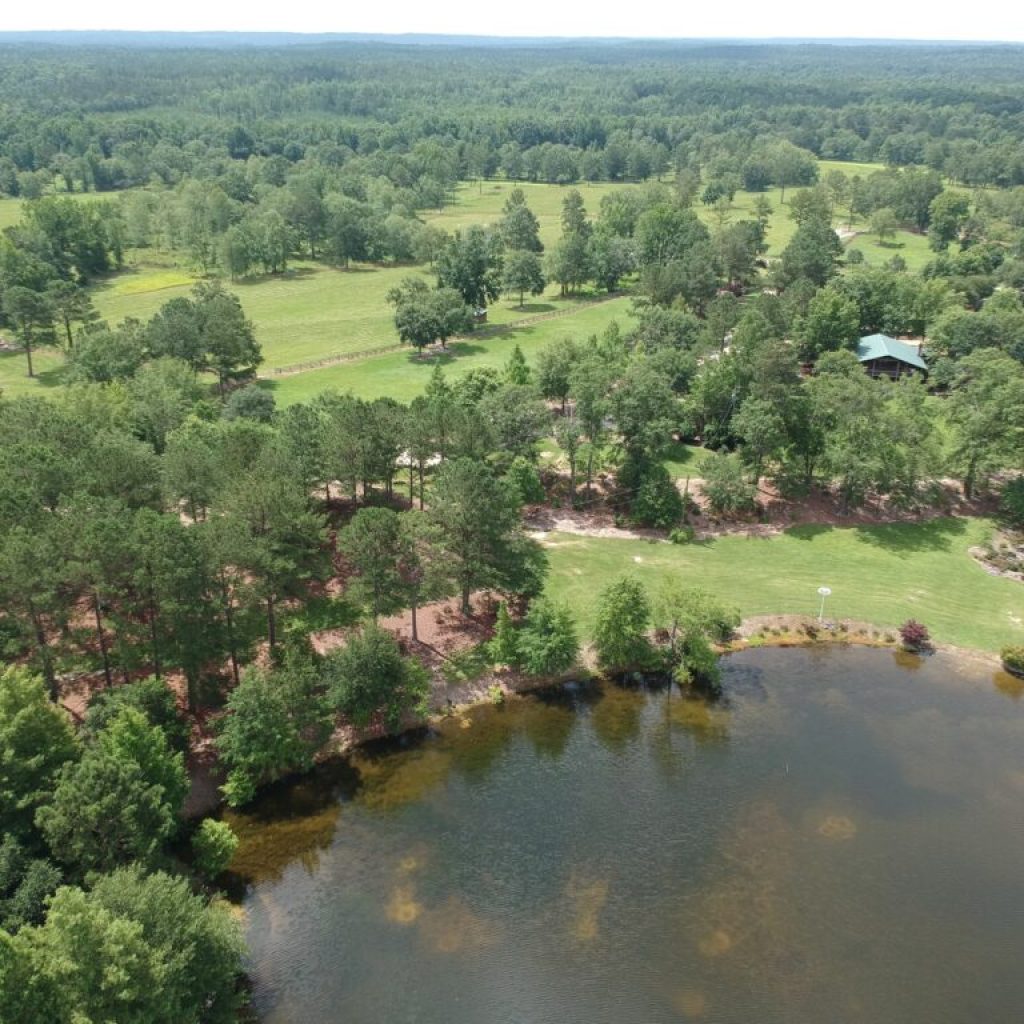 Auburn University accepts 415-acre gift from homestead of legendary football coach Pat Dye Auburn University accepts 415-acre gift from homestead of legendary football coach Pat Dye