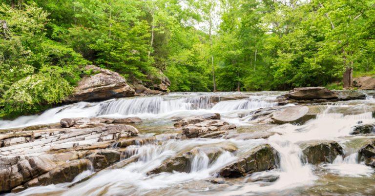 Forever Wild moving forward with expansion plans for Turkey Creek, Dugdown Corridor Forever Wild moving forward with expansion plans for Turkey Creek, Dugdown Corridor