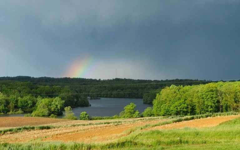 The Chandler Mountain project comes to an end—details here The Chandler Mountain project comes to an end—details here