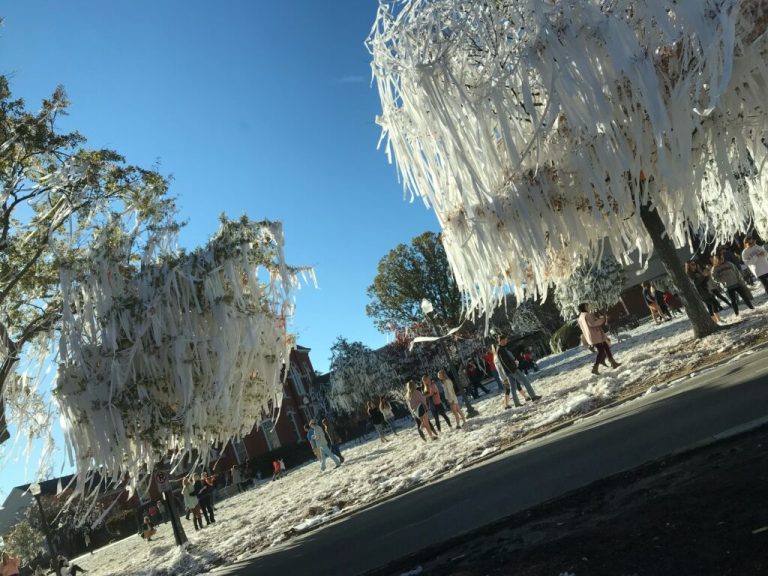 Toomer’s Corner tree-rolling tradition is back after 6 years Toomer’s Corner tree-rolling tradition is back after 6 years