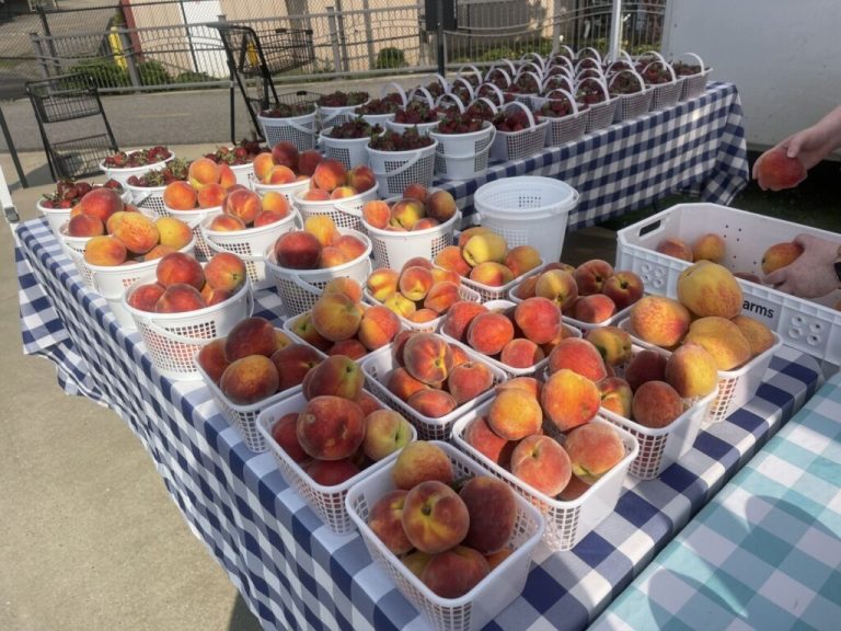 5 fantastic flea markets in AL you need to see this summer 5 fantastic flea markets in AL you need to see this summer