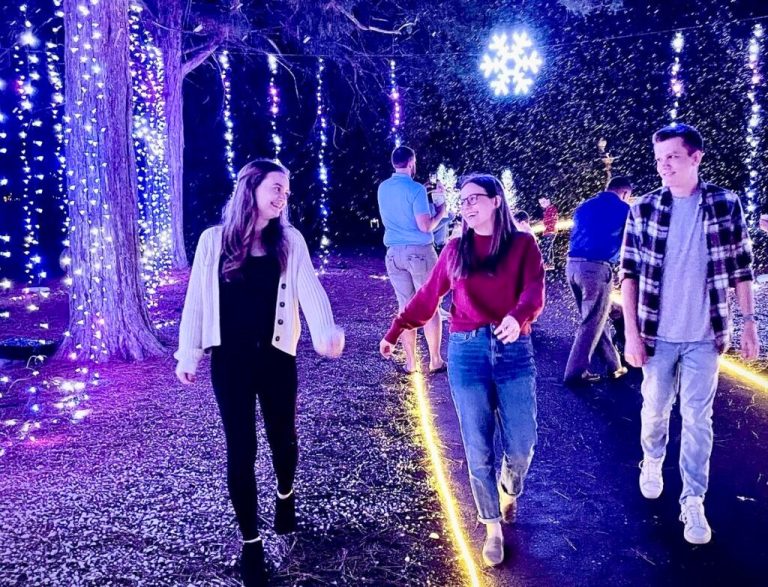 5 holiday light displays you need to stroll through this year in Alabama 5 holiday light displays you need to stroll through this year in Alabama