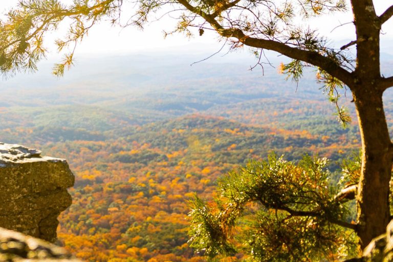 Here are the 7 best spots in Alabama to experience fall according to World Atlas Here are the 7 best spots in Alabama to experience fall according to World Atlas