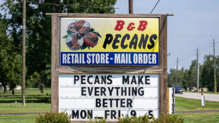 This Alabama pecan farm is over 65 years old—here’s why it’s a must-visit This Alabama pecan farm is over 65 years old—here’s why it’s a must-visit