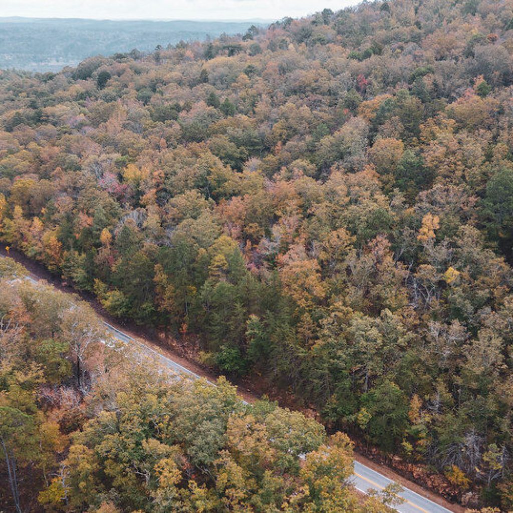 Small earthquake registered in Talladega; Alabama’s first of 2025 Small earthquake registered in Talladega; Alabama’s first of 2025