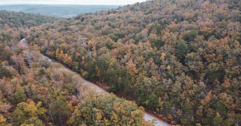 Small earthquake registered in Talladega; Alabama’s first of 2025 Small earthquake registered in Talladega; Alabama’s first of 2025