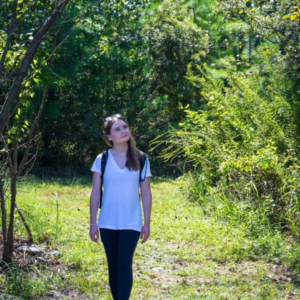 11 first day hikes to ring in 2024 in Alabama 11 first day hikes to ring in 2024 in Alabama