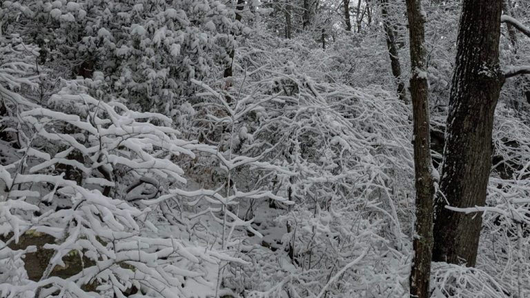 What you need to know about the Jan. 14 state of emergency for Alabama—ice, sleet + snow What you need to know about the Jan. 14 state of emergency for Alabama—ice, sleet + snow
