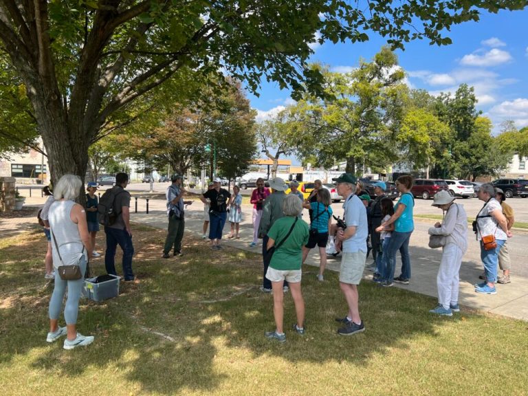 A beginner’s guide to birding in Alabama—plus details on a special new event happening this year A beginner’s guide to birding in Alabama—plus details on a special new event happening this year