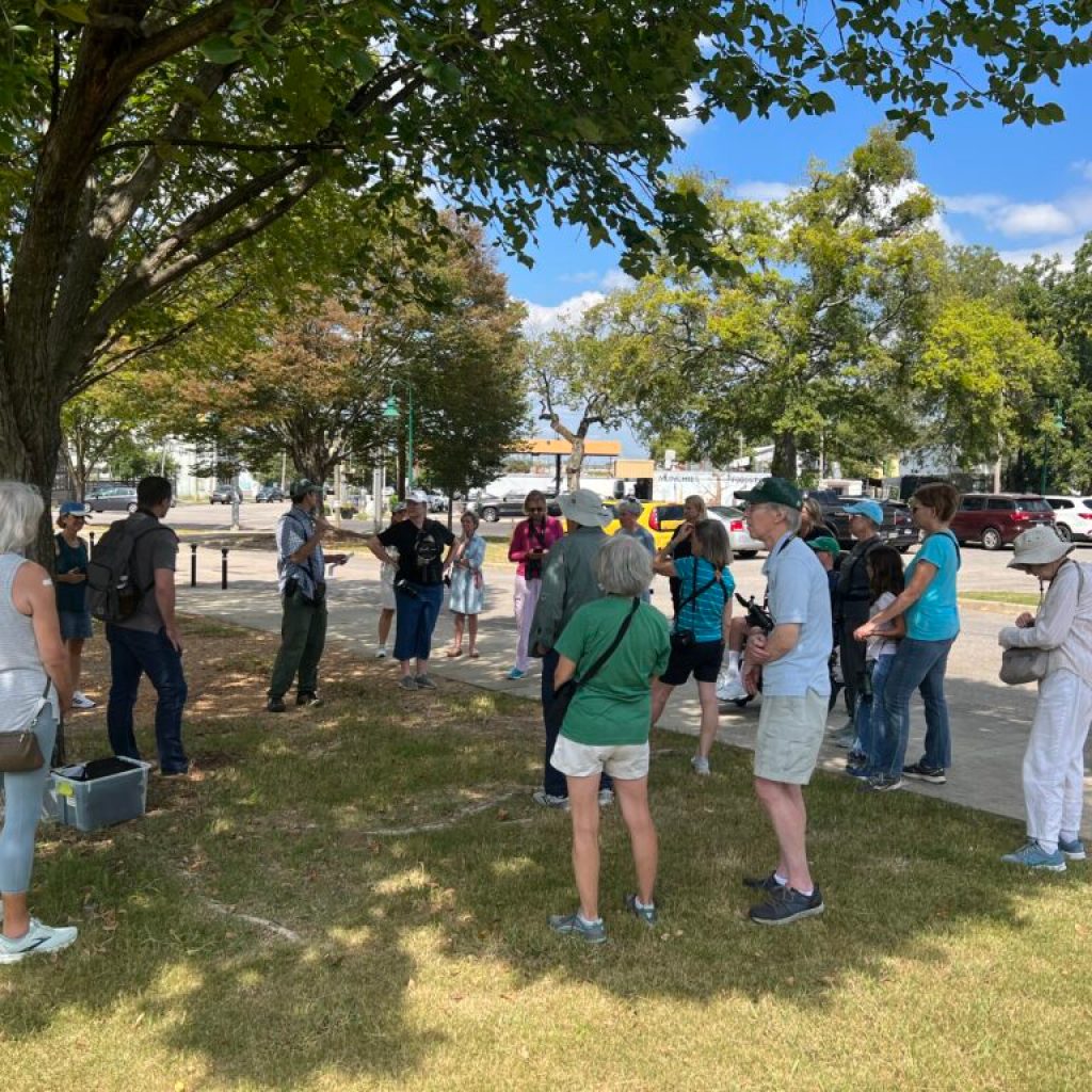 A beginner’s guide to birding in Alabama—plus details on a special new event happening this year A beginner’s guide to birding in Alabama—plus details on a special new event happening this year