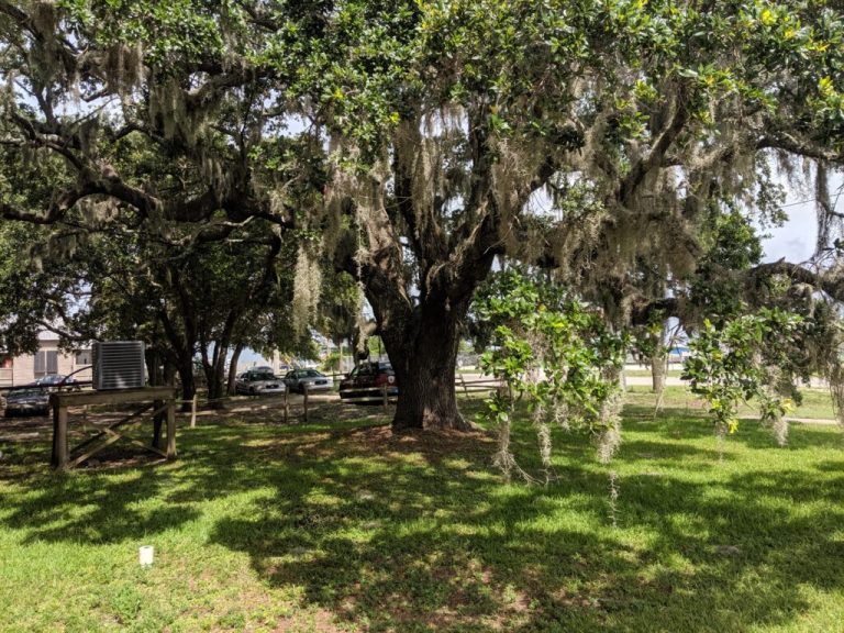 NEW: Dauphin Island listed among best Gulf coast towns by World Atlas NEW: Dauphin Island listed among best Gulf coast towns by World Atlas
