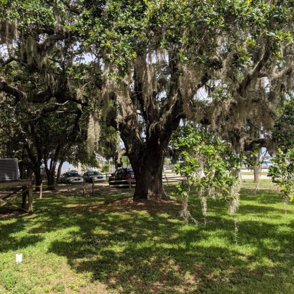 NEW: Dauphin Island listed among best Gulf coast towns by World Atlas NEW: Dauphin Island listed among best Gulf coast towns by World Atlas