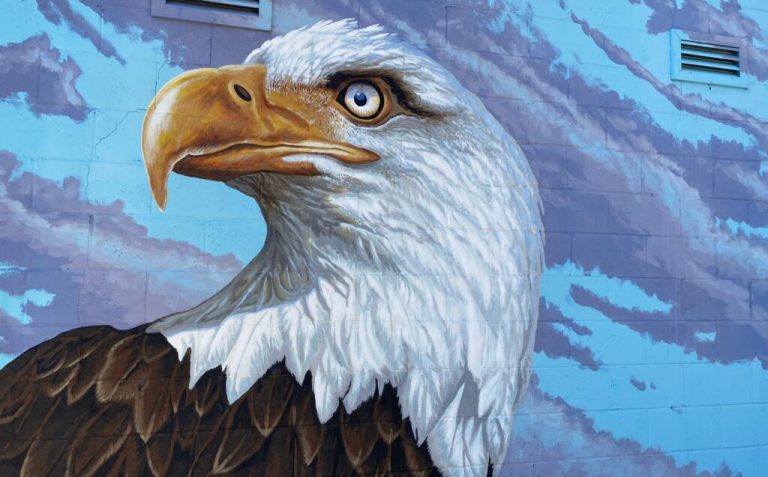 6 murals in Dothan you have to see 6 murals in Dothan you have to see