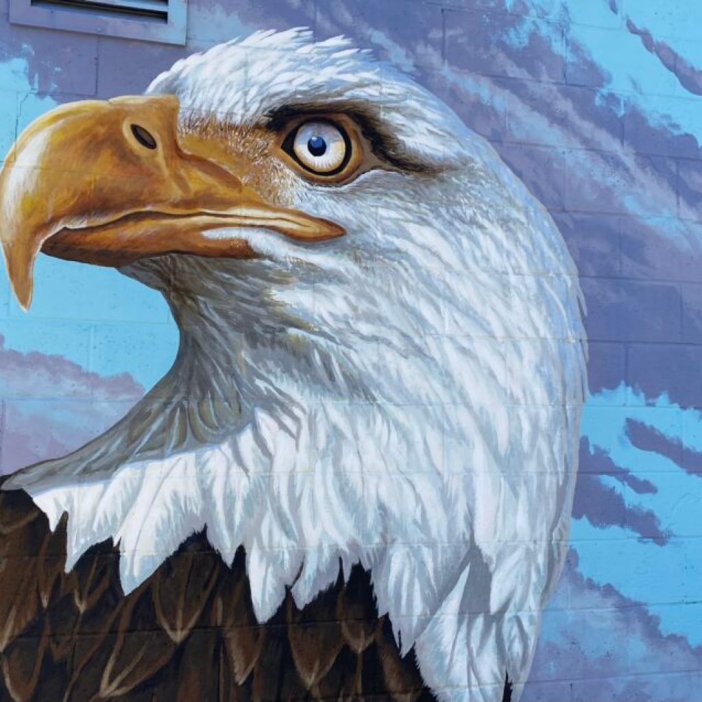 6 murals in Dothan you have to see 6 murals in Dothan you have to see