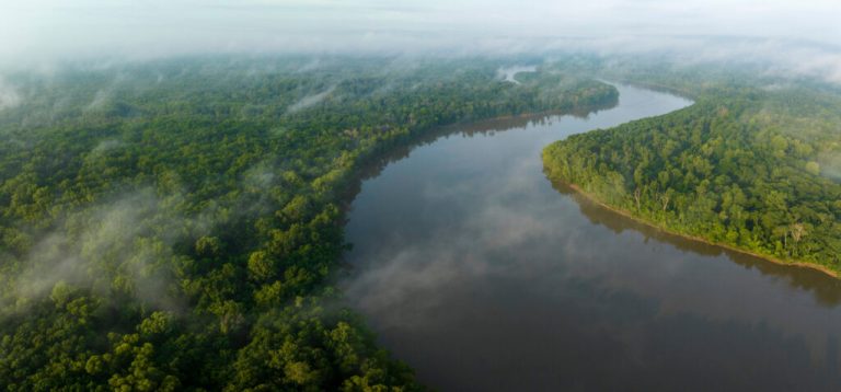 Huge 8,000-acre tract in Mobile-Tensaw Delta now protected by The Nature Conservancy Huge 8,000-acre tract in Mobile-Tensaw Delta now protected by The Nature Conservancy