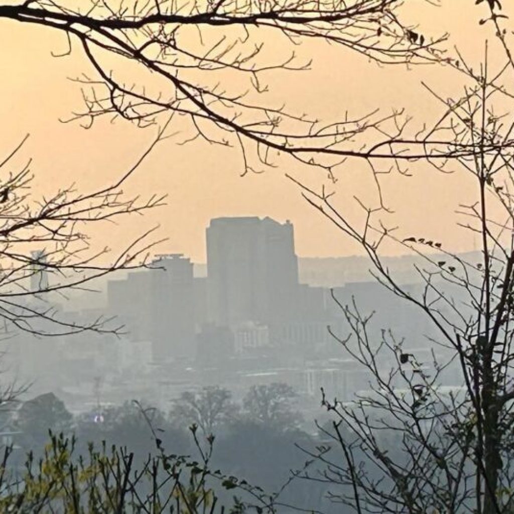 Alabama’s rankings in ‘South’s Best 2024’ by Southern Living Alabama’s rankings in ‘South’s Best 2024’ by Southern Living