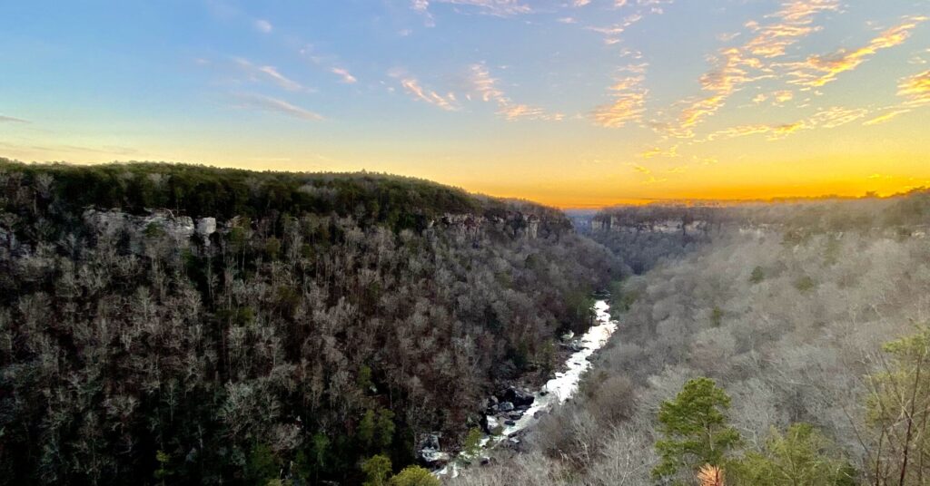 Alabama most biodiverse state in the U.S. according to The Nature Conservancy