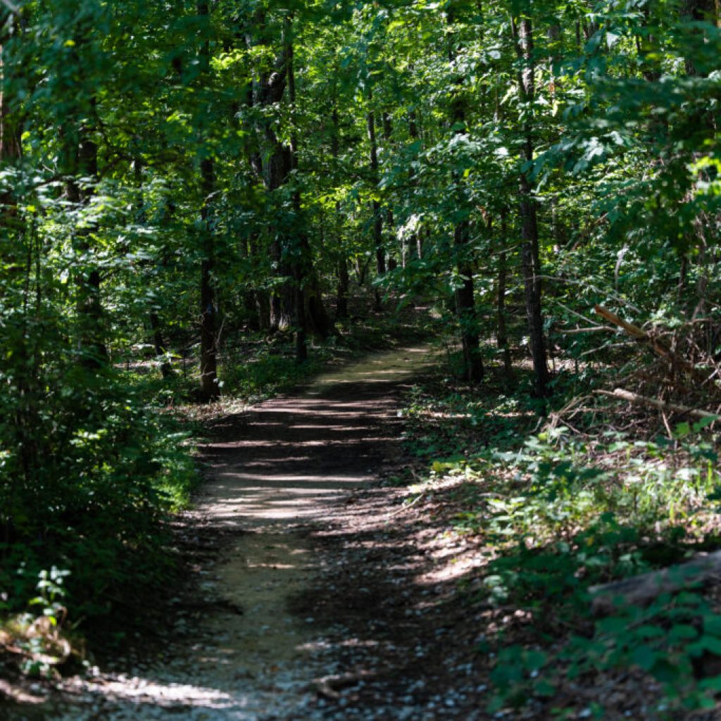 Check out these 5 amazing Alabama hikes in March Check out these 5 amazing Alabama hikes in March