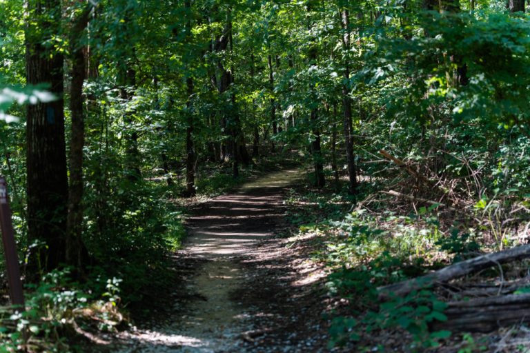 Check out these 5 amazing Alabama hikes in March Check out these 5 amazing Alabama hikes in March
