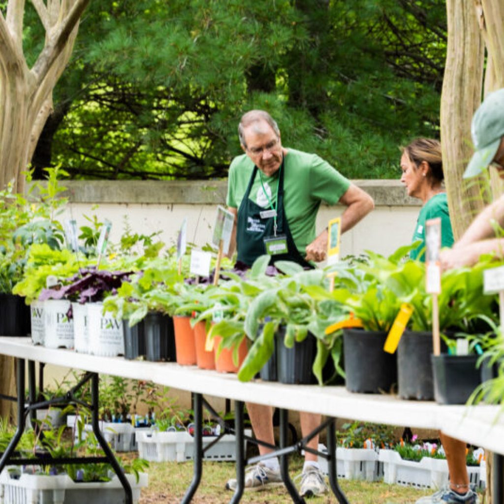 How you can become a champion for native plants and trees in Alabama How you can become a champion for native plants and trees in Alabama