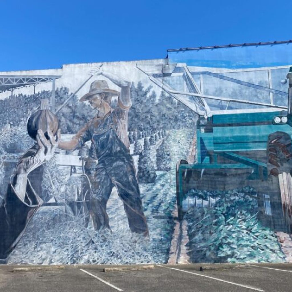 USDA report confirms—Wiregrass remains peanut capital of Alabama USDA report confirms—Wiregrass remains peanut capital of Alabama