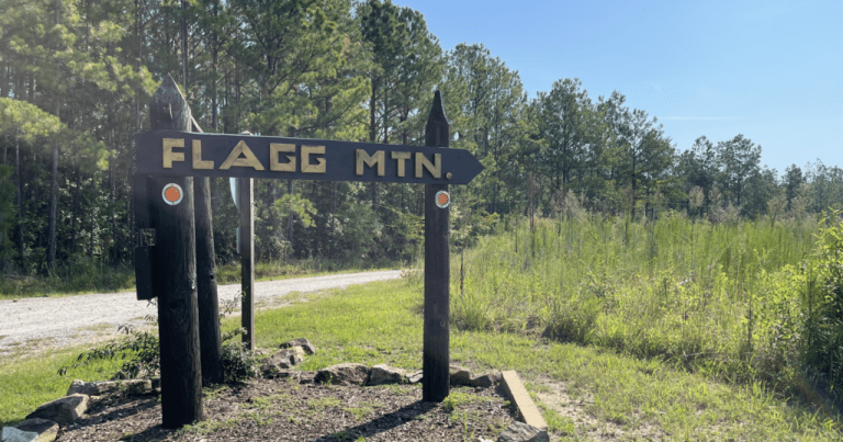 The Nature Conservancy adds new 1,000-acre preserve at Flagg Mountain The Nature Conservancy adds new 1,000-acre preserve at Flagg Mountain