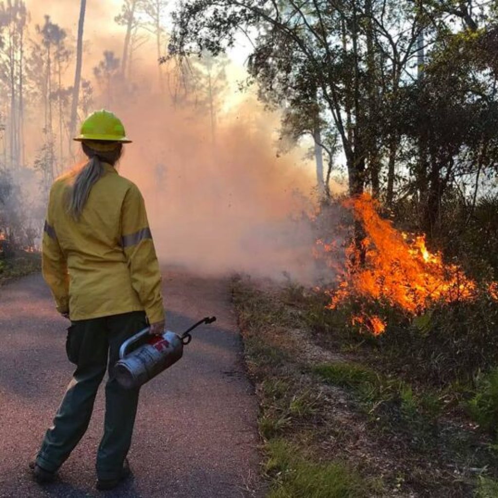 Fire Weather Watch issued across Alabama Fire Weather Watch issued across Alabama