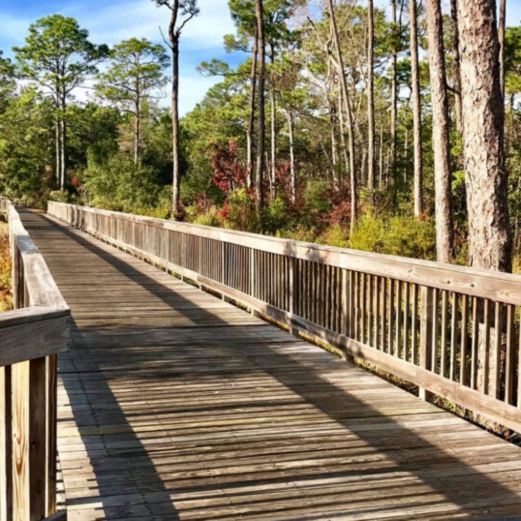 Alabama trail dethroned, falls to No. 2 in USA Today’s 10Best recreational trails Alabama trail dethroned, falls to No. 2 in USA Today’s 10Best recreational trails