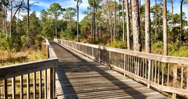 Alabama trail dethroned, falls to No. 2 in USA Today’s 10Best recreational trails Alabama trail dethroned, falls to No. 2 in USA Today’s 10Best recreational trails
