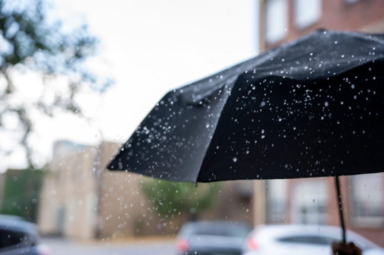 Heavy rain, strong storms expected across Alabama this weekend Heavy rain, strong storms expected across Alabama this weekend