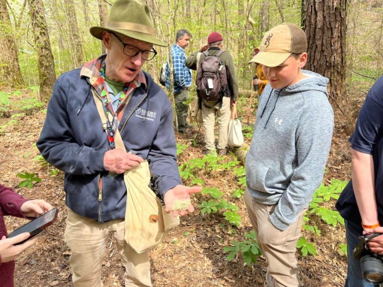 New owners vow to preserve Natural Bridge in Winston County New owners vow to preserve Natural Bridge in Winston County