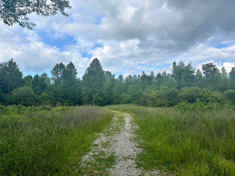 Shoal Creek Nature Preserve: A hidden Florence gem Shoal Creek Nature Preserve: A hidden Florence gem