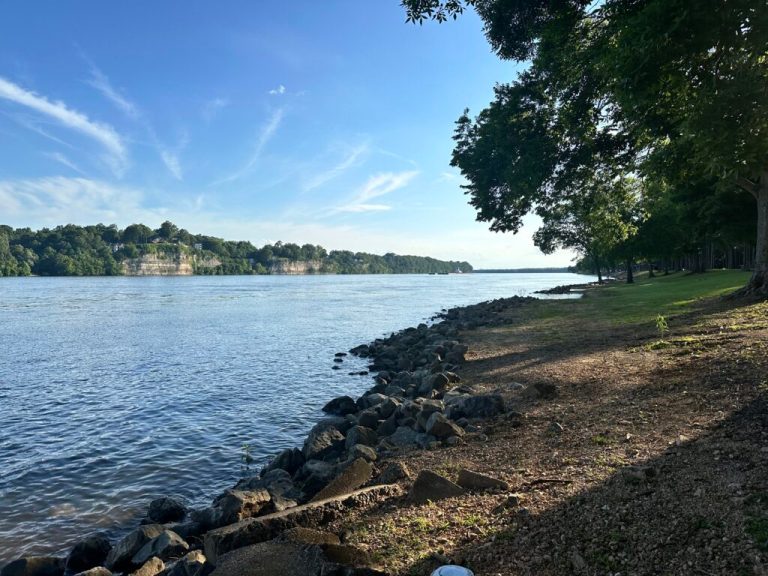 Why Florence’s McFarland Park is a must visit this summer Why Florence’s McFarland Park is a must visit this summer