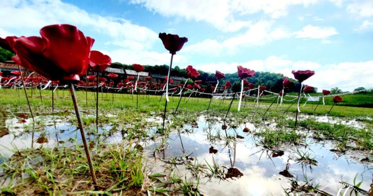 Alabama Poppy Project returns for annual Memorial Day event Alabama Poppy Project returns for annual Memorial Day event
