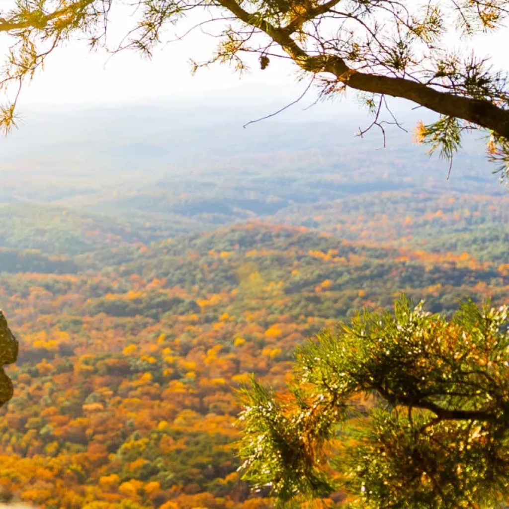 Ambassadors wanted to promote Alabama State Parks on social media Ambassadors wanted to promote Alabama State Parks on social media