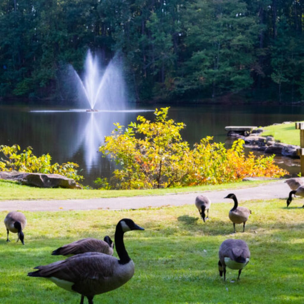 Your guide to 7 of the best gardens in Alabama Your guide to 7 of the best gardens in Alabama