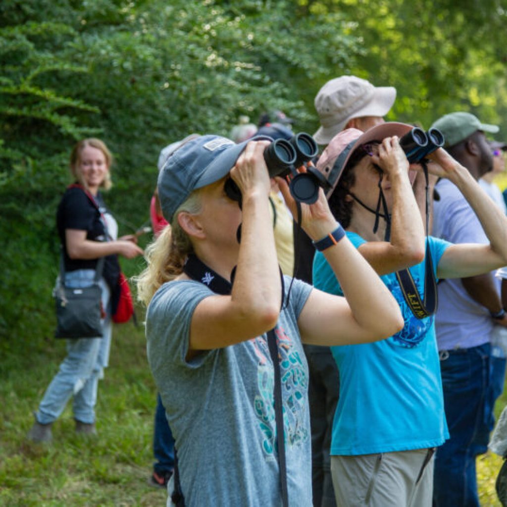 10 new stops added to Alabama Birding Trails 10 new stops added to Alabama Birding Trails