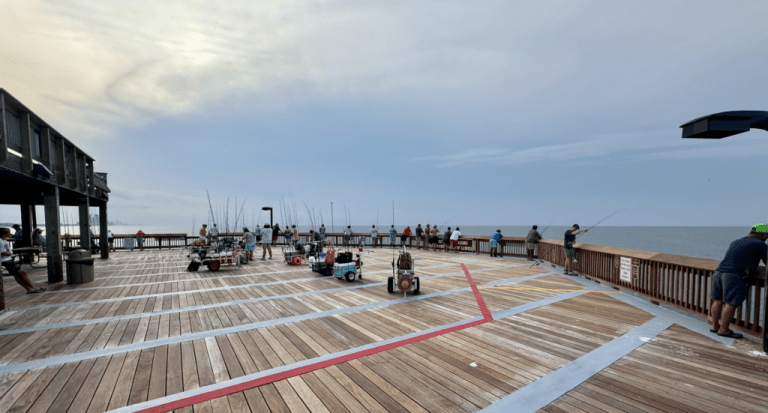 NEW: Gulf State Park Pier now open to the public after hurricane damage repairs NEW: Gulf State Park Pier now open to the public after hurricane damage repairs