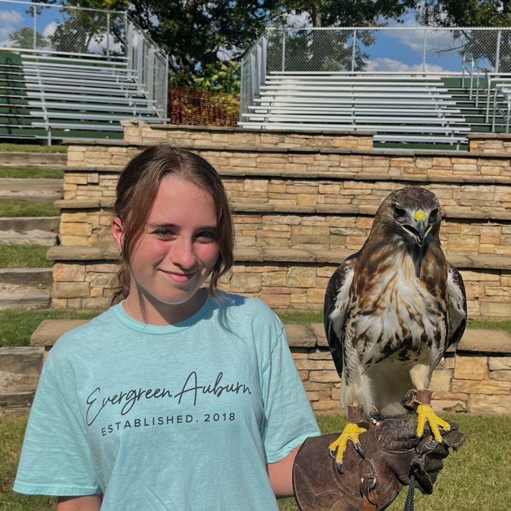 Birds of a feather: Auburn University and raptors stick together Birds of a feather: Auburn University and raptors stick together