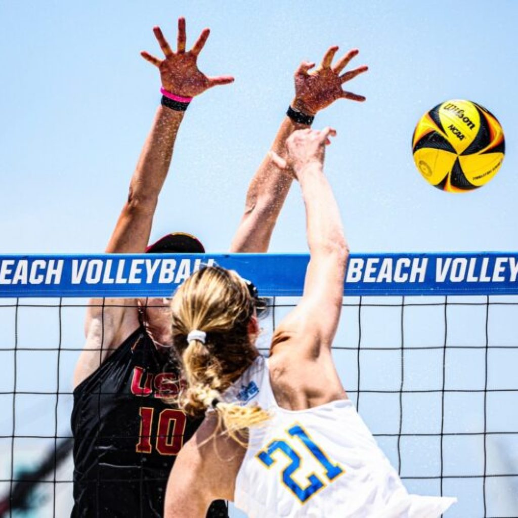 NCAA selects 7 sites in Alabama to host future championship events NCAA selects 7 sites in Alabama to host future championship events