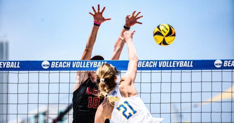 NCAA selects 7 sites in Alabama to host future championship events NCAA selects 7 sites in Alabama to host future championship events