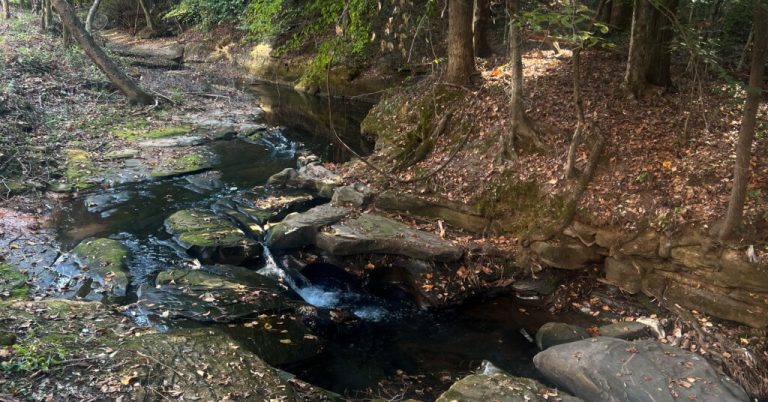 Your guide to 5 must-see Alabama hiking trails Your guide to 5 must-see Alabama hiking trails